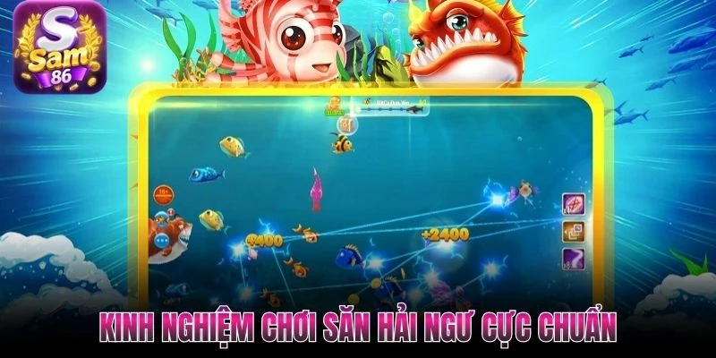 Kinh nghiệm chơi săn hải ngư cực chuẩn Kinh nghiệm chơi săn hải ngư cực chuẩn