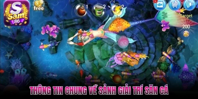 Thông tin chung về sảnh giải trí săn cá Thông tin chung về sảnh giải trí săn cá